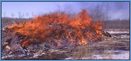 burnpile.jpg