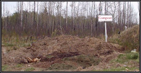 compost pile.jpg